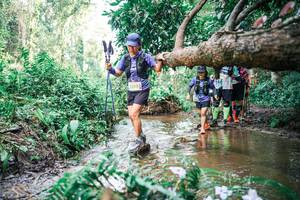 BIB: 
                            <button type="button" onclick="openModal(25517338)" class="btn btn-primary btn-sm float-right btn-popup" data-toggle="modal" data-target=".modal-high-quality">
                        <i class="fas fa-shopping-cart"></i> Add to Cart
                    </button>
                                            <button type="button" onclick="isThisMe(25517338, true)" class="btn btn-success btn-sm float-right btn-popup btn-isme hidden" data-toggle="tooltip" data-placement="bottom" title="นี่คือรูปของคุณใช่ไหม คลิกที่นี่เพื่อเอาเข้าอัลบั้ม">
                        <i class="fas fa-plus"></i> Add to album
                    </button>
                    <button type="button" onclick="isThisMe(25517338, false)" class="btn btn-warning btn-sm float-right btn-popup btn-isnotme hidden">
                        <i class="fas fa-ban"></i> Remove from album
                    </button>